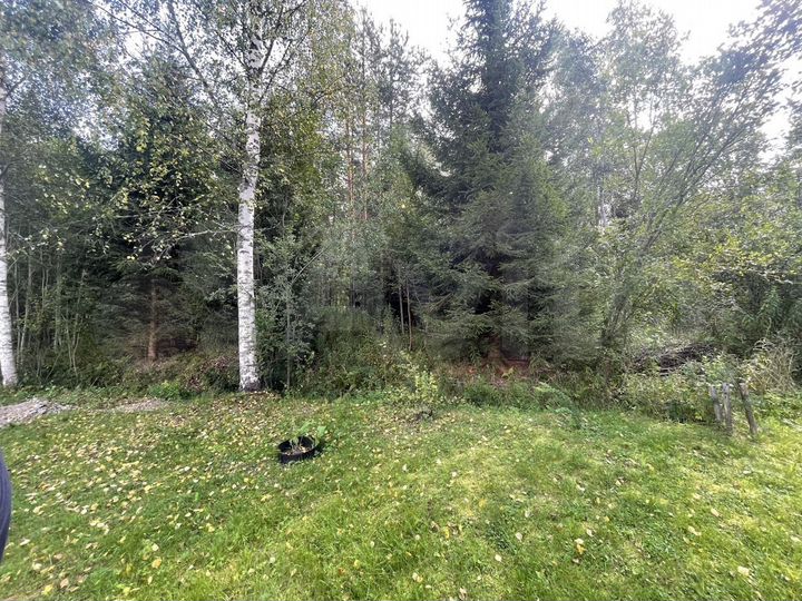 Участок 12,6 сот. (СНТ, ДНП)