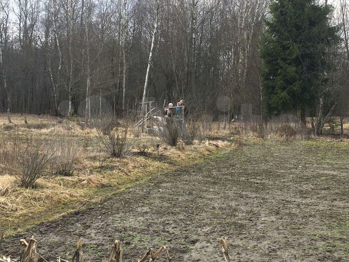 Участок 10 сот. (СНТ, ДНП)