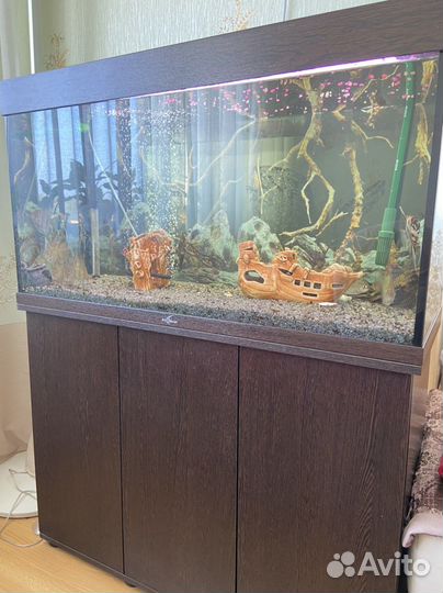 Аквариум с рыбками