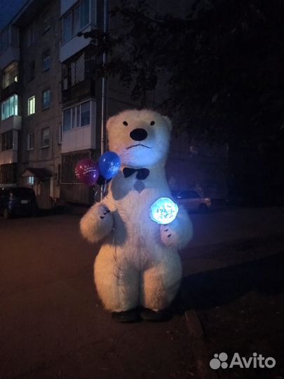 Бомбические поздравления от больших мишек