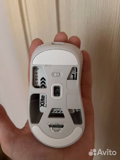 Беспроводная мышь Pulsar Xlite V2 Mini