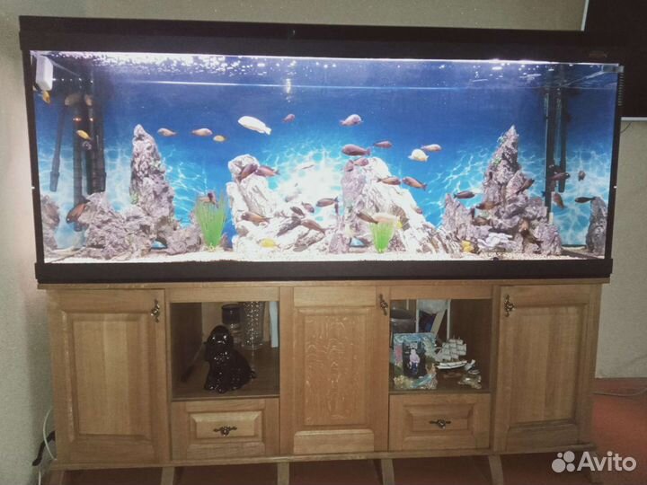 Аквариум