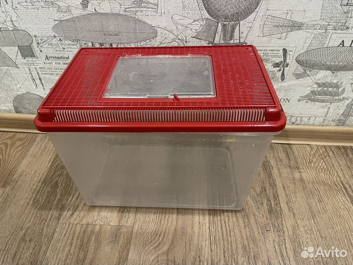 Террариум для улиток