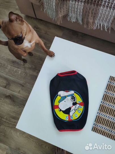 Футболка для собак