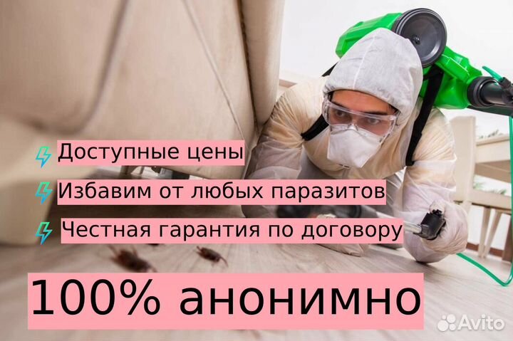 Уничтожение тараканов, обработка от клопов
