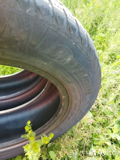 Cordiant Winter Drive 195/65 R15