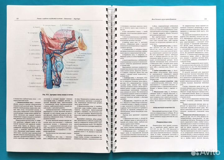 Атлас анатомии человека Синельников. Том Третий