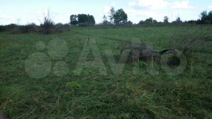 Участок 10 сот. (СНТ, ДНП)