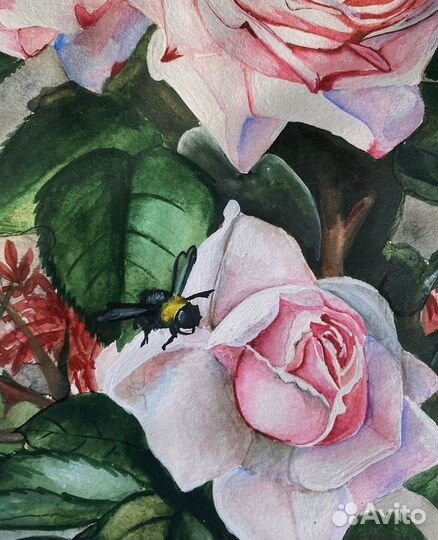 Розы. Акварельная картина