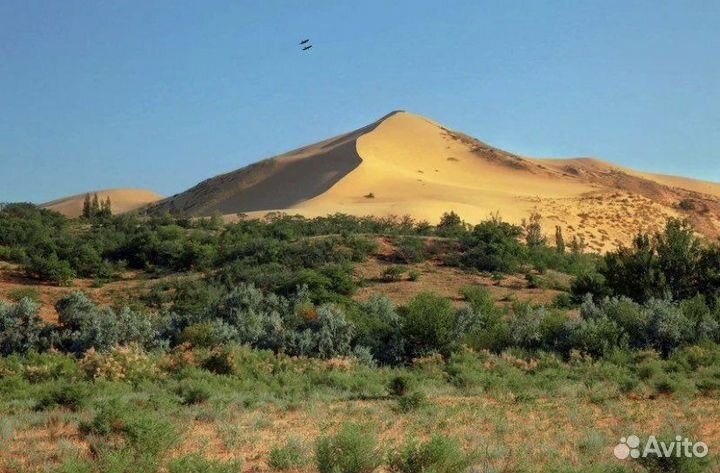 Трансфер по дагестану