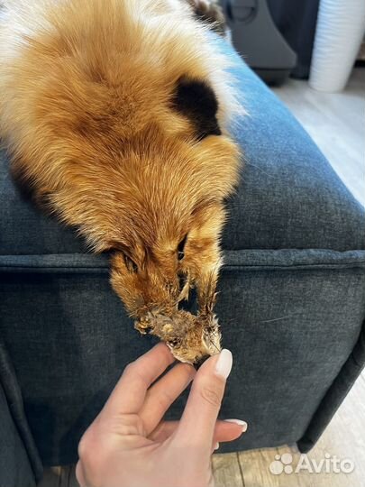 Мех лисы