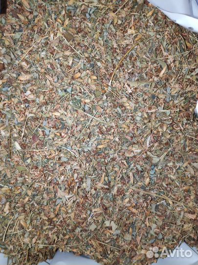 Зверобой, Мать-и-мачеха