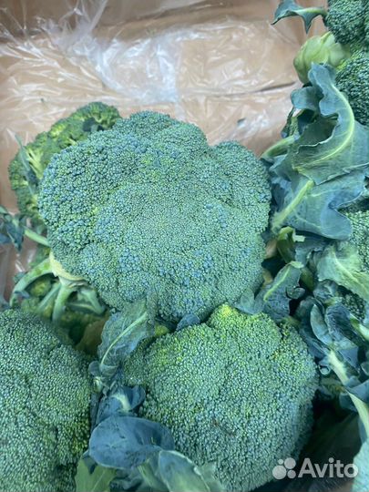 Брокколи