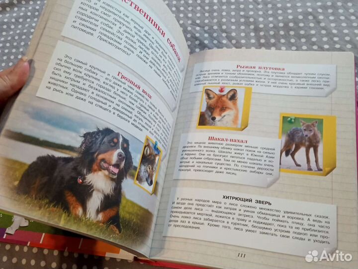 Энциклопедия для девочек