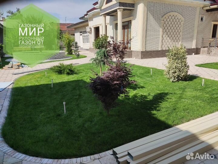 Рулонный газон