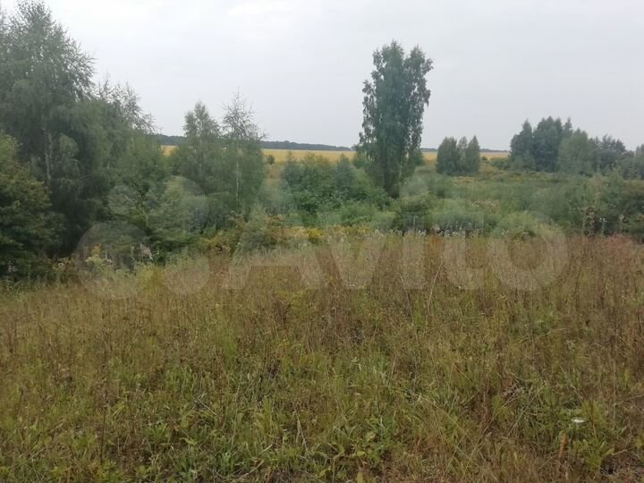 Участок 100 сот. (СНТ, ДНП)