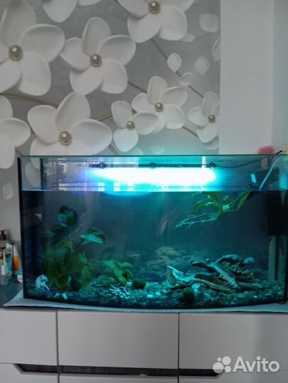 Украшение для аквариума