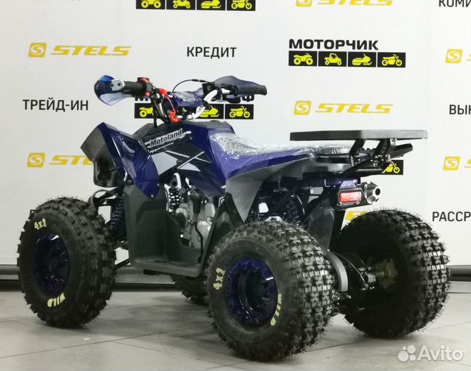 Квадроцикл MotoLand ATV 125 coyote
