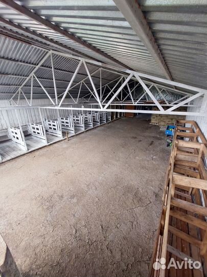 Готовый бизнес. Животноводческая ферма