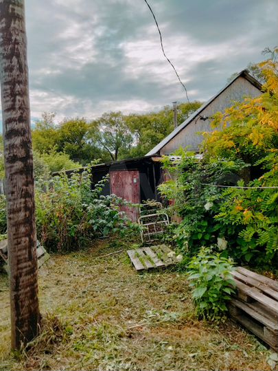 Дом 31 м² на участке 44 сот.