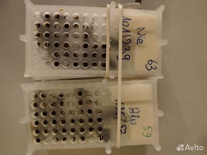 Пчеломатки карника