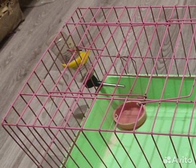 Клетка +поилка+кормушка для хомяка,морской свинки