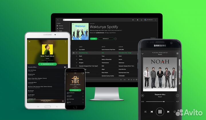 Spotify Premium Individual (Персональная)