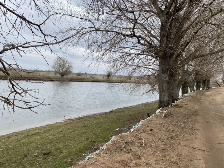 Дом 60 м² на участке 12 сот.