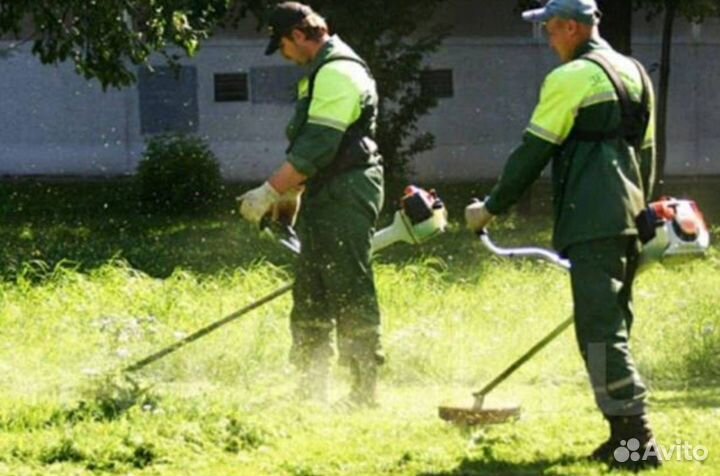 Дворник работа в Москве