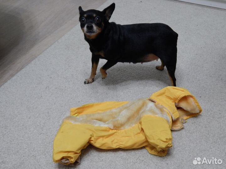 Продам зимний костюм для девочки