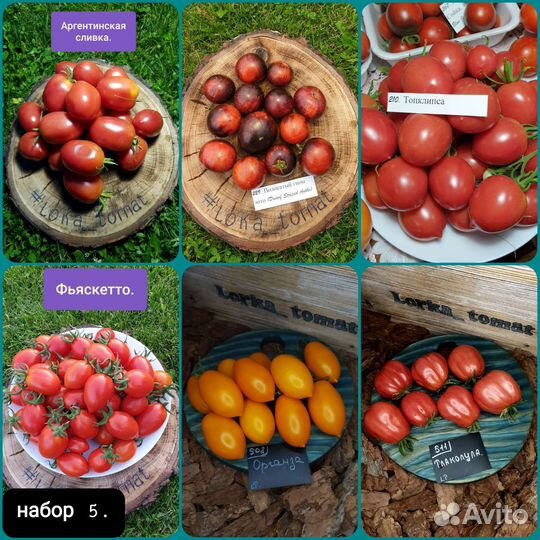 Семена коллекционных томатов