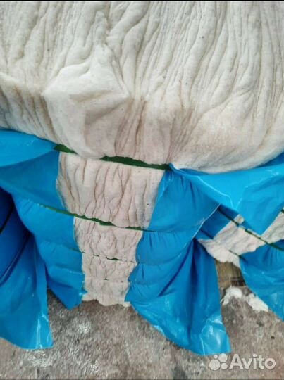 Хлопок Вата Пахта