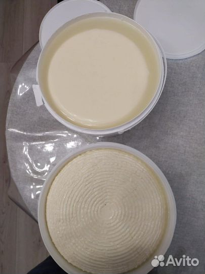 Сыр сулугуни