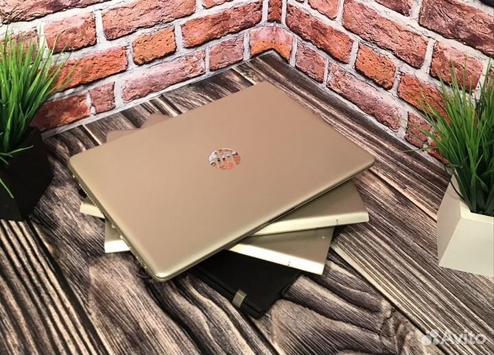 Ноутбуки для любых задач с хорошей гарантией