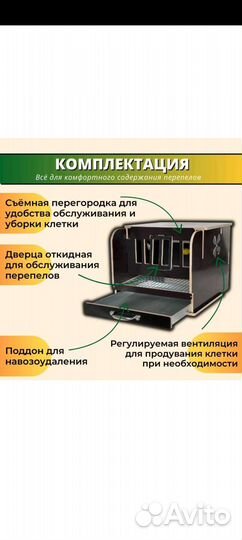 Перепелиная мини-ферма