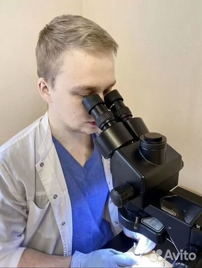 Микроскоп Amszoom