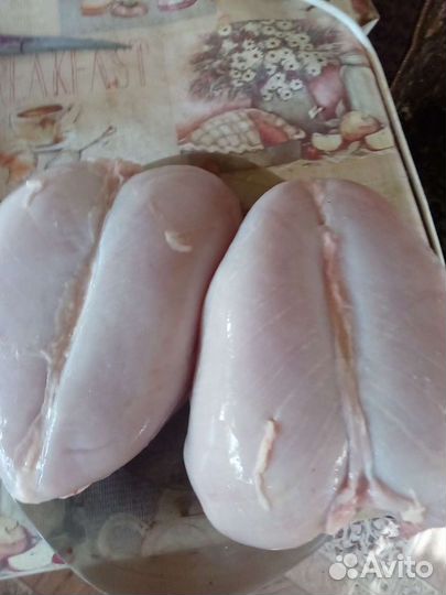 Куры домашние, окорочка, грудки