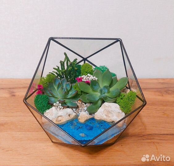 Флорариум, подарок на 8 марта