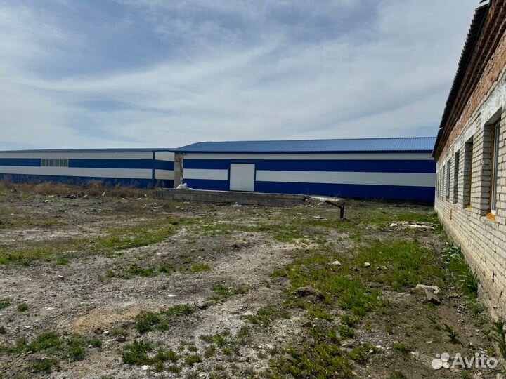 Сдам в аренду склады с земельным участком