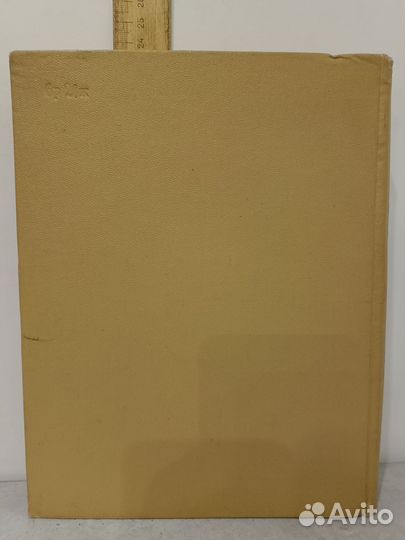 Сомина Р.А. Невский проспект