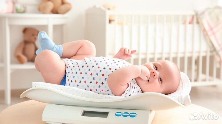 Детские Весы Напрокат Продажа Аренда