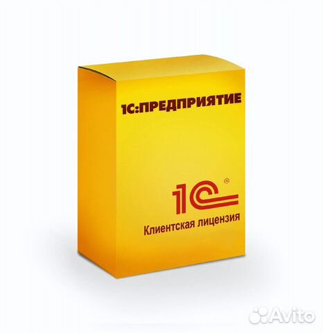 1С, Программа 1С