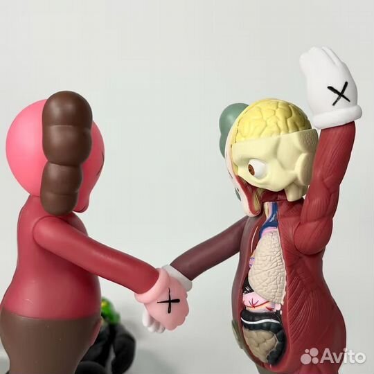 Kaws Anatomy