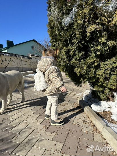 Рюкзак дошкольный в садик