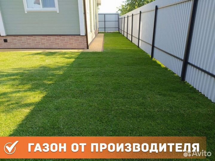 Газон рулонный с укладкой