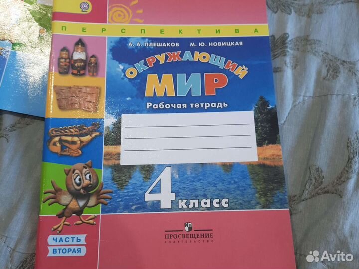 Рабочие тетради 4 класс
