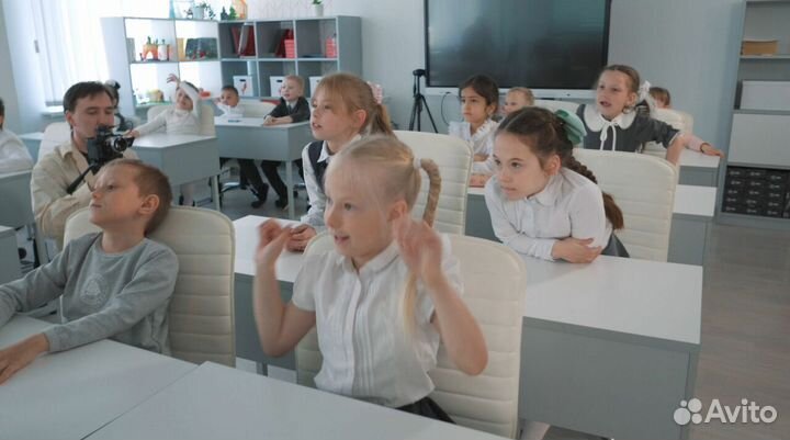 Продам готовый бизнес рисунки лесные жители