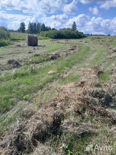 Сено,рулон 5ц