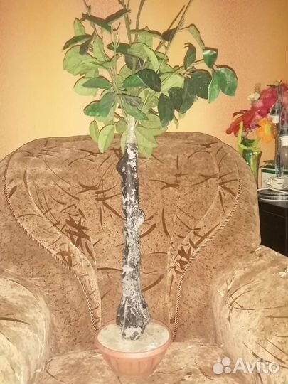 Цветок-дерево