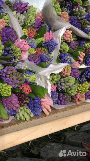 Цветы оптом со склада